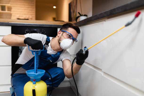 Best Rat Extermination Near Me  in Deerwood, TX