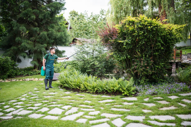 Best Wasp Removal Services  in Deerwood, TX
