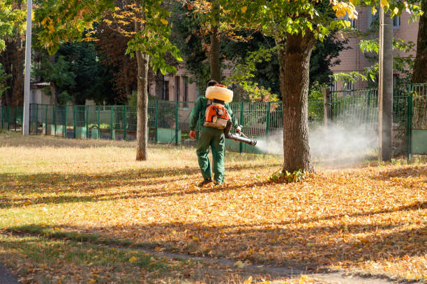 Best Flea Control Services  in Deerwood, TX